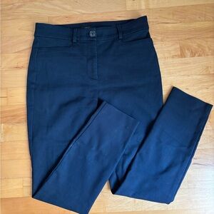LOFT Navy Skinny Pants